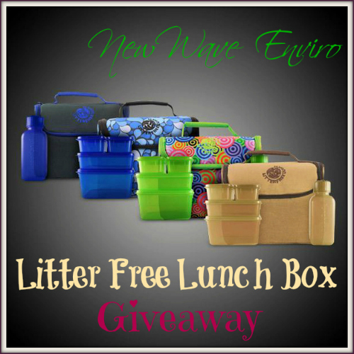 Litter Free Lunch Boxes Review & Giveaway Motherhood Defined