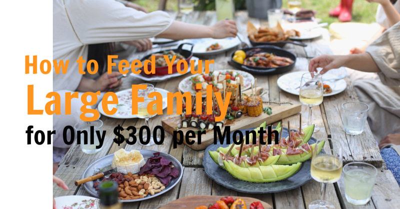 How to Feed Your Large Family for Only $300 per Month + Giveaway