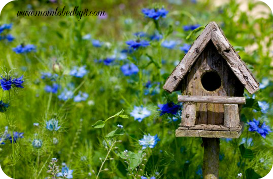 birdhouse