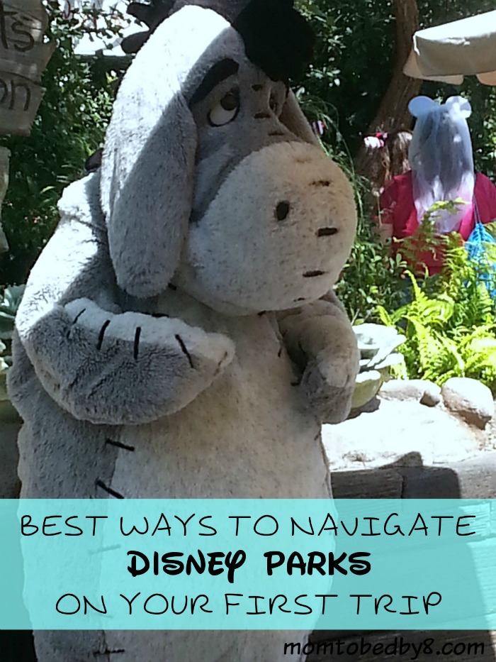 Best Ways To Navigate Disney Parks On Your First Trip