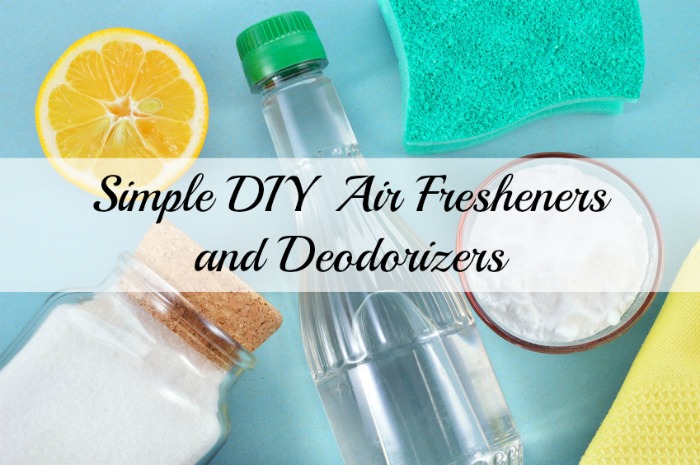 Simple DIY Air Fresheners and Deodorizers