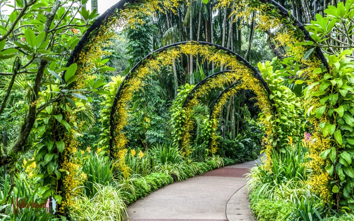 Perinaya Royal Botanical Gardens