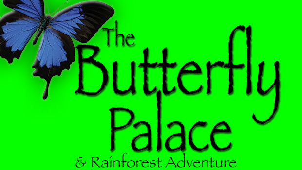 $2 off The Butterfly Palace & Rainforest Adventure admission
