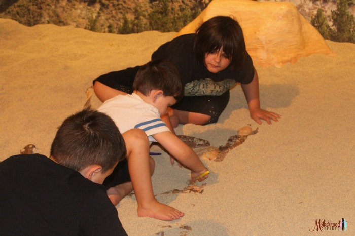Sioux City Public Museum Dino Dig with MDefined