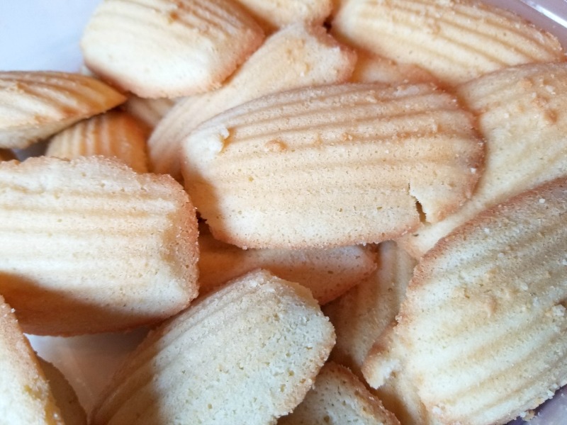 Sugar Bowl Bakery Review Back to School Never Tasted So Good