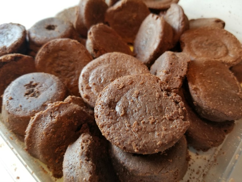 Sugar Bowl Bakery Review Back to School Never Tasted So Good