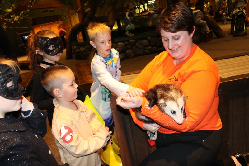 Spooktacular Starts This Weekend at Omaha’s Henry Doorly Zoo and Aquarium