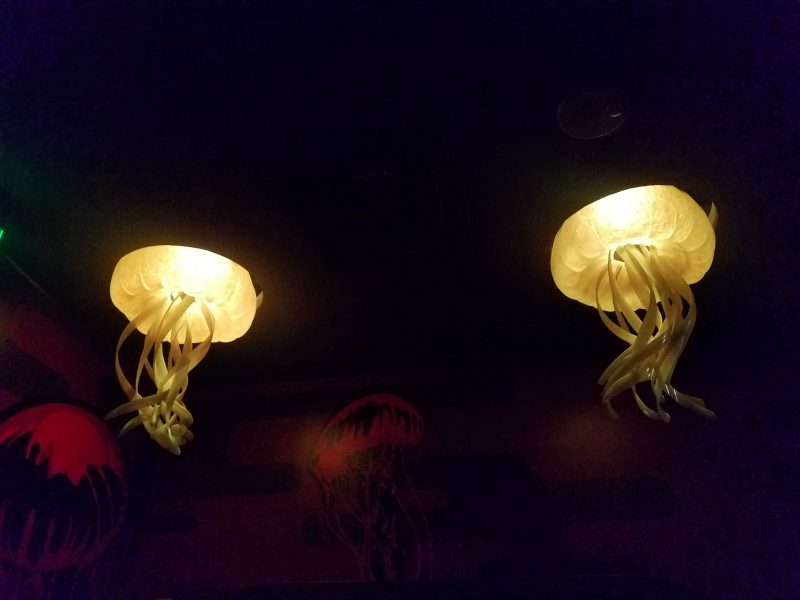Sea Life Kansas City Aquarium Jellyfish