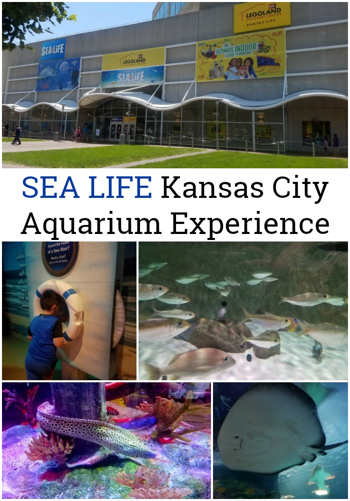 SEA LIFE Kansas City Aquarium Experience