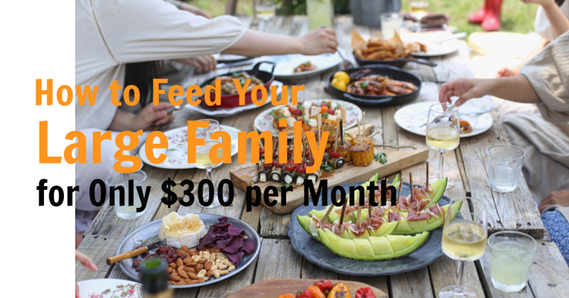 How to Feed Your Large Family for Only $300 per Month