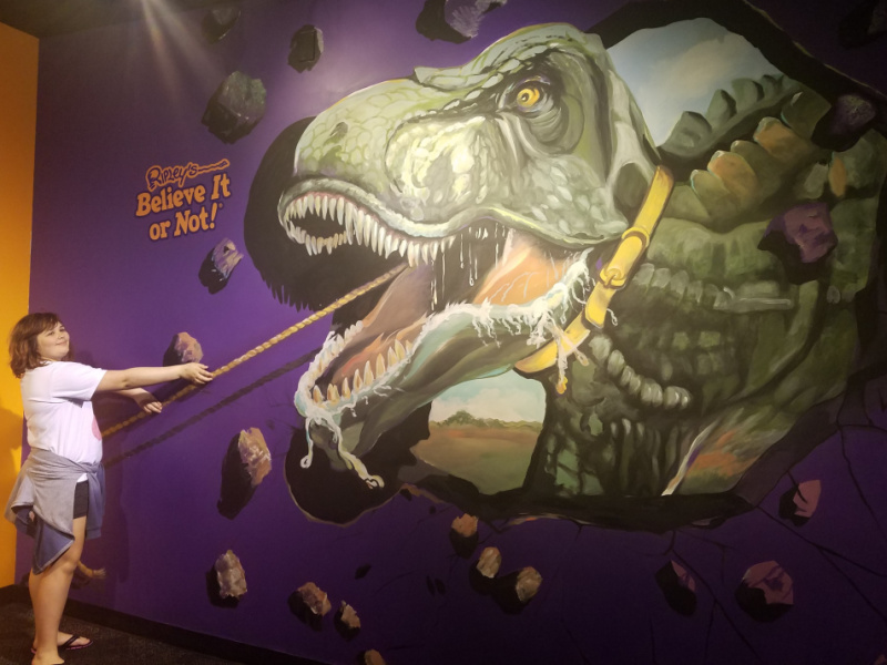 Non Amusement Park Adventures In Orlando - Ripley's Believe It Or Not Odditorium