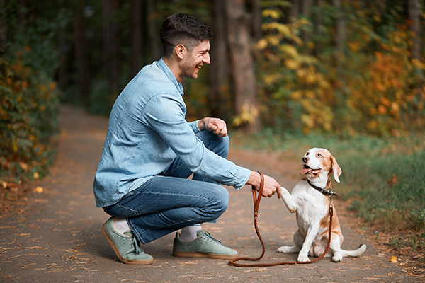 4 Tips to Train Your Pet - Acknowledge Good Behavior