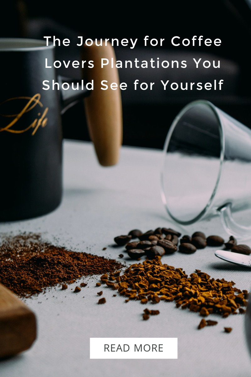 The Journey for Coffee Lovers Plantations You Should See for Yourself